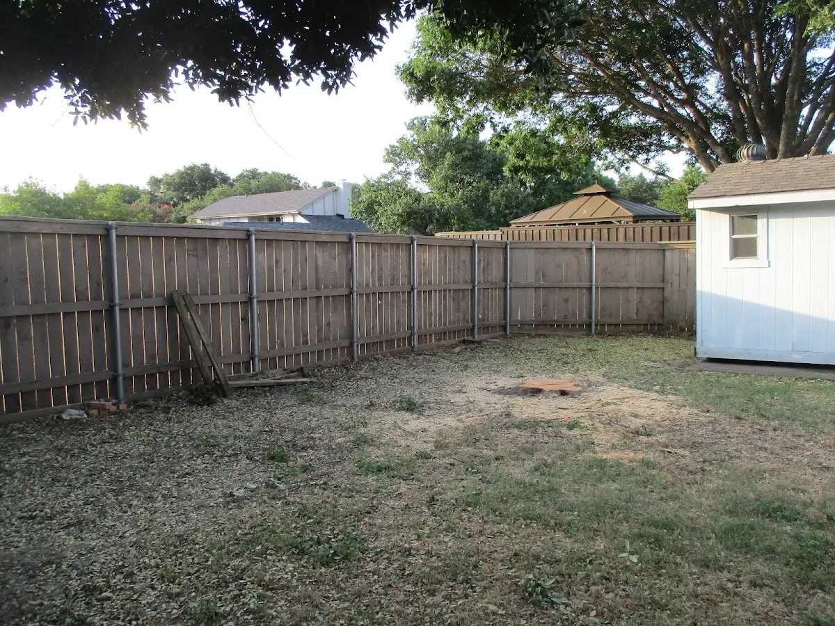 Cleared yard after professional tree removal in White Earth