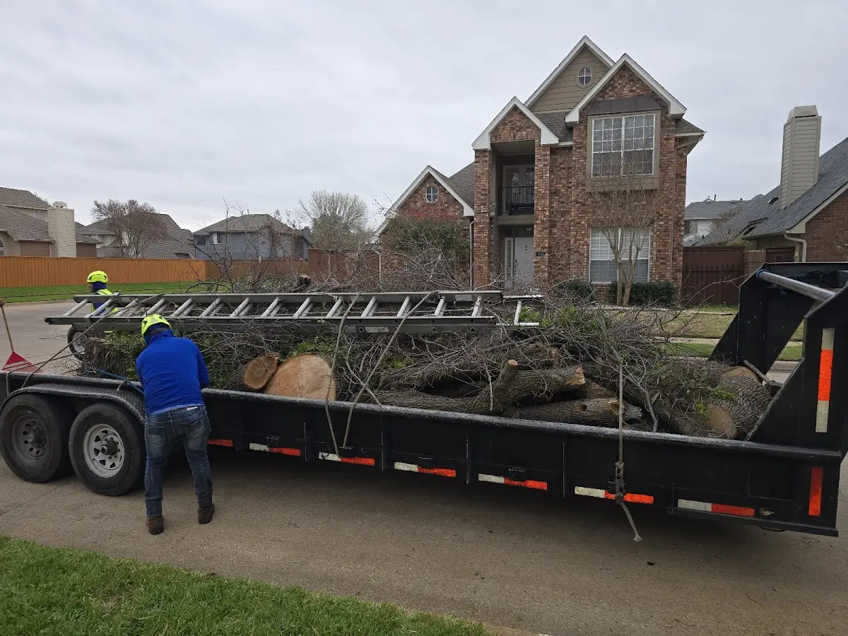 Expert Tree Pest Control with proper safety equipment in White Earth
